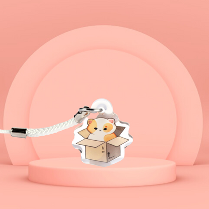 Box Kitty - Charm